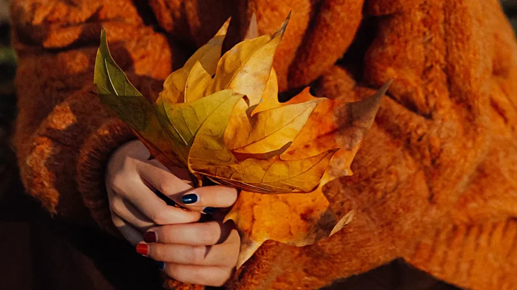 Top 10 Knitted Sweater Manufacturers for Women’s Bulk Orders